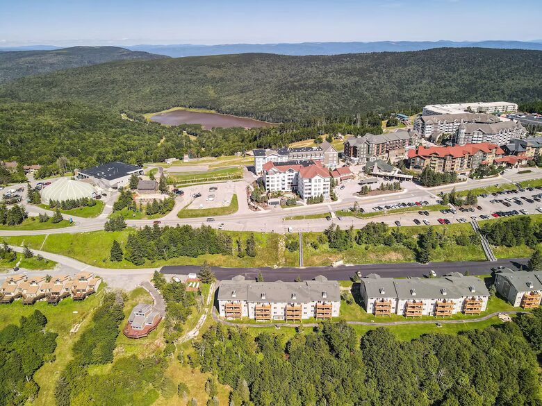 Summit Escape – 3-Bedroom Condo Close to Ski Village and Slopes! - Snowshoe, West Virginia