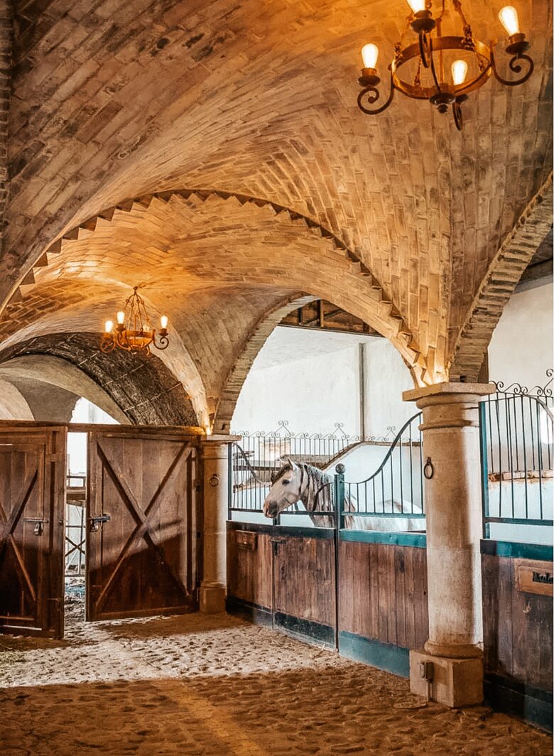 San Gimignano: Exquisite Loft in Mexico's Best-Kept Secret in Val’Quirico - San Miguel Xoxtla, Mexico