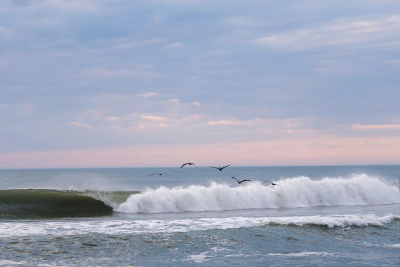 Outer Banks Rendezvous Retreat - Duck, North Carolina
