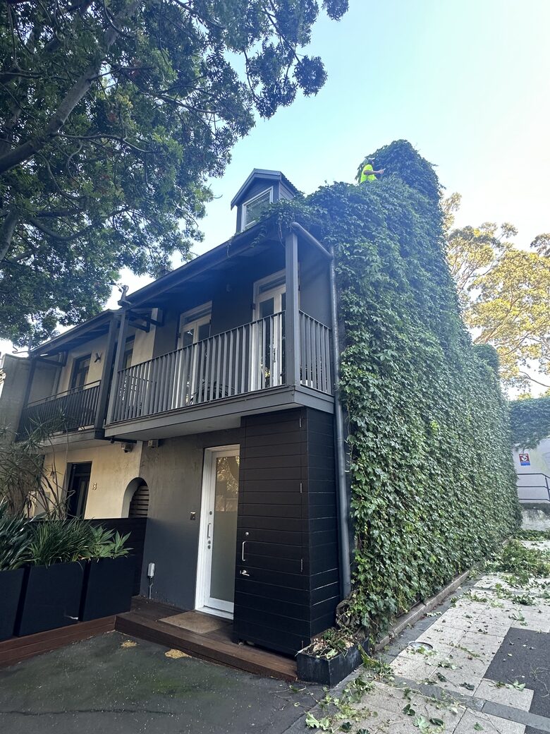 Modern Sydney Terrace House - Surry Hills, Australia