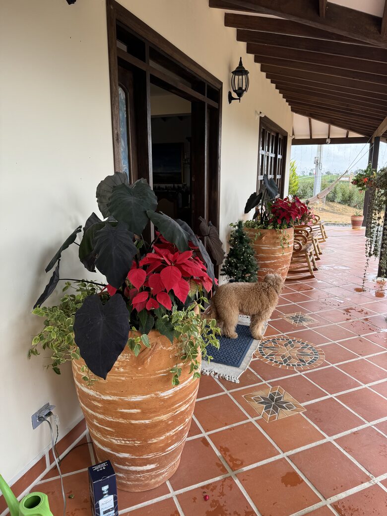 Finca Villa Rosales - Medellin, Colombia