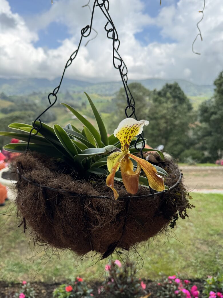 Finca Villa Rosales - Medellin, Colombia