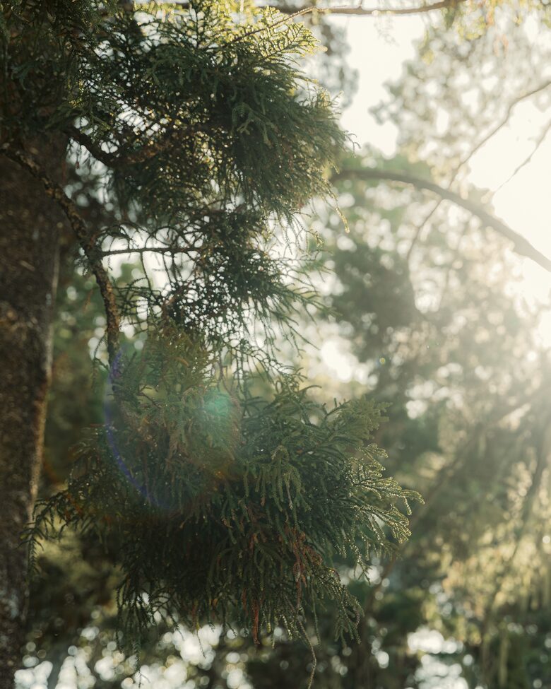 Secret Garden | Byron Bay - Byron Bay, Australia
