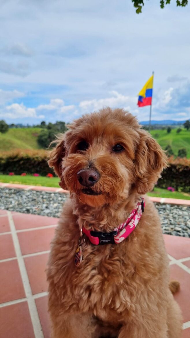Finca Villa Rosales - Medellin, Colombia