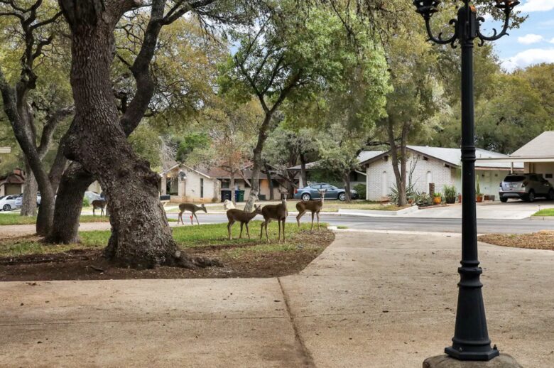 Wanderlust - San Antonio, Texas
