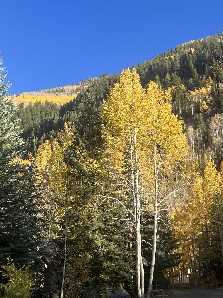 Golden Peak Creekside - Vail, Colorado