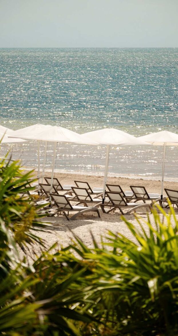 Gala Oceanfront Suite - Two Bedroom at AVA Resort Cancún (ALL-INCLUSIVE INCLUDED) - Cancún, Mexico