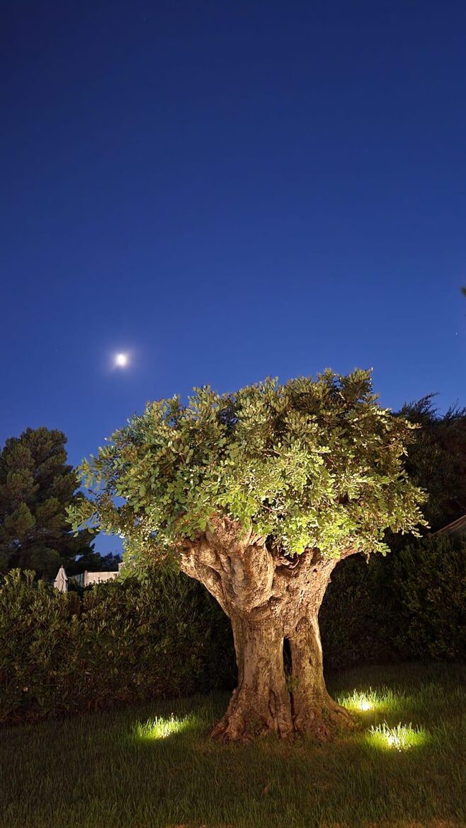 Villa Rosamarina - Rosa Marina, Ostuni, Italy