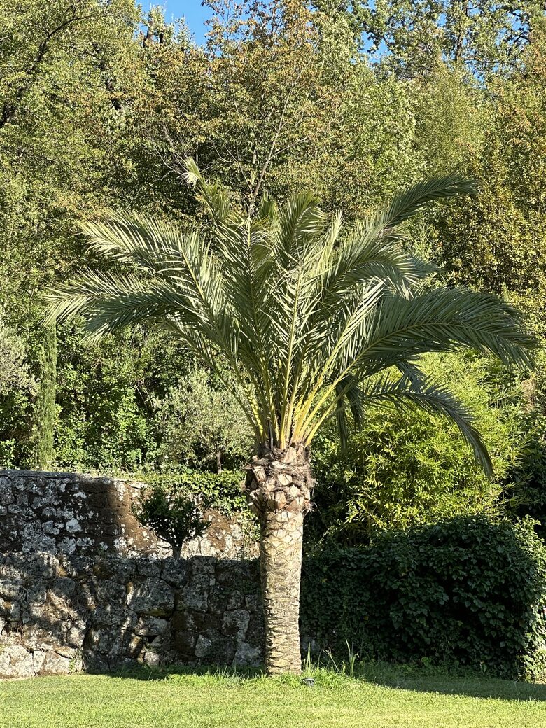 Provençal Paradise on the French Riviera - Grasse, France