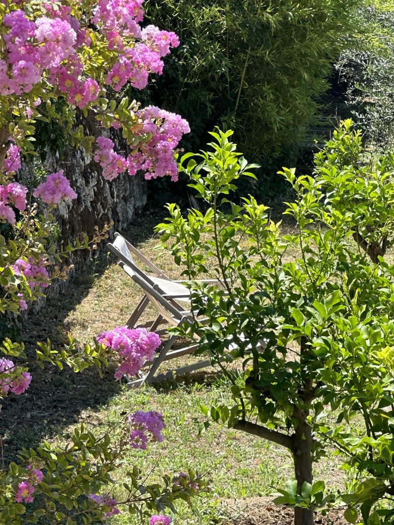Provençal Paradise on the French Riviera - Grasse, France