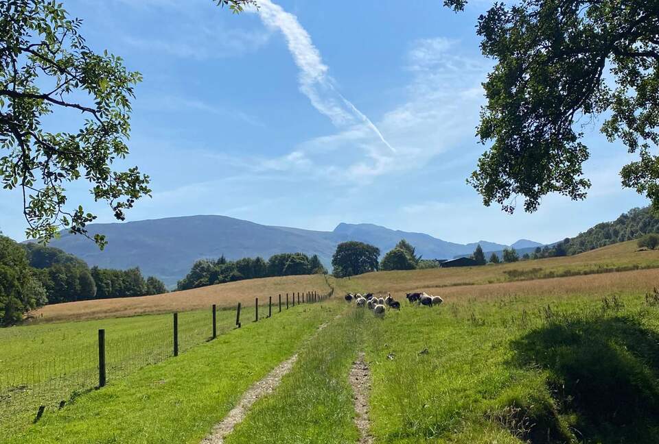Glen Ogle Farm - Lochearnhead, United Kingdom