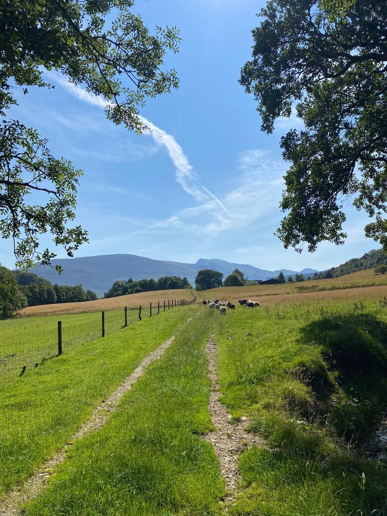 Glen Ogle Farm - Lochearnhead, United Kingdom