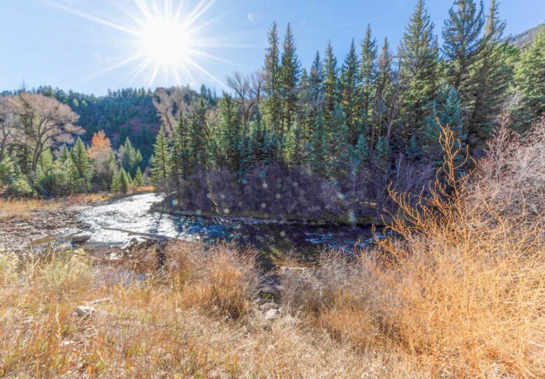 River House Haven Near Telluride - Placerville, Colorado