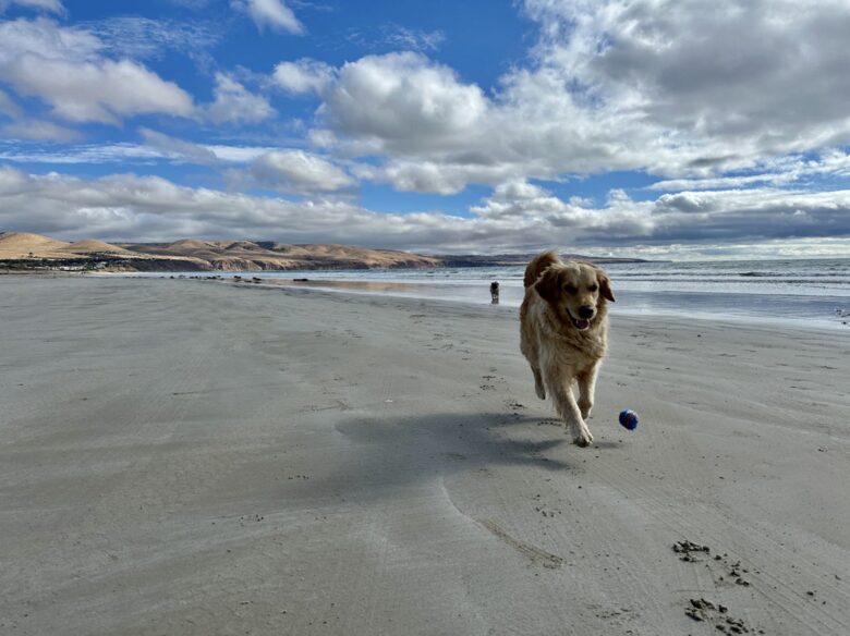 Esplanade Aldinga - Adelaide, Australia
