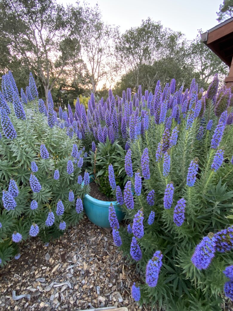Point B - Monterey, California