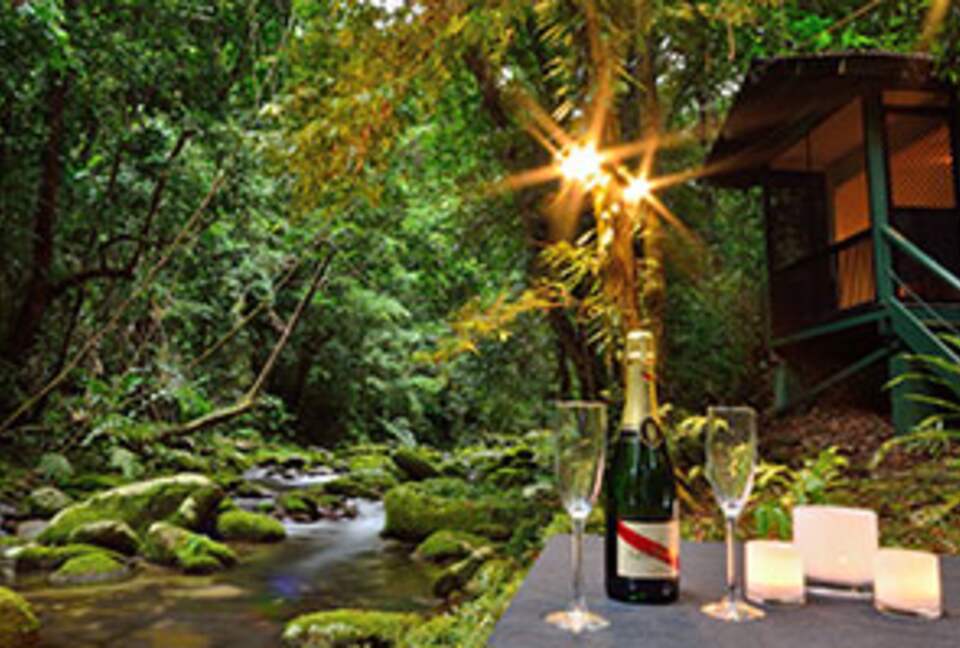 Misty Mountains Hideaway | A Rainforest Retreat - Bellenden Ker, Australia