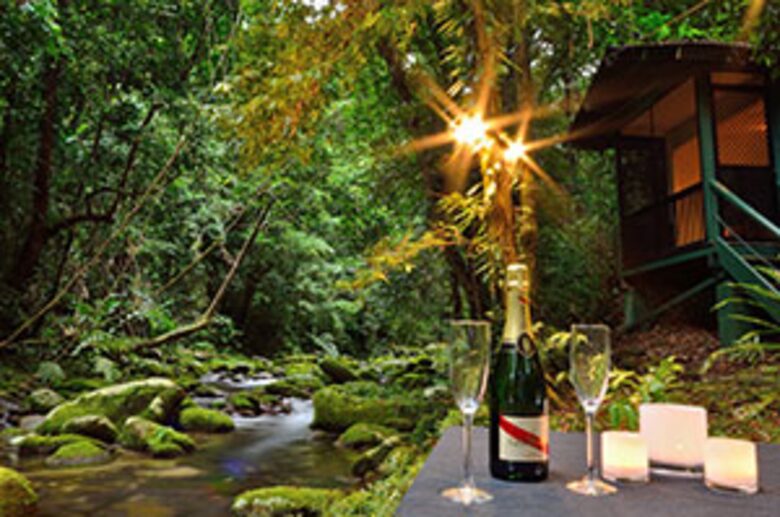 Misty Mountains Hideaway | A Rainforest Retreat - Bellenden Ker, Australia
