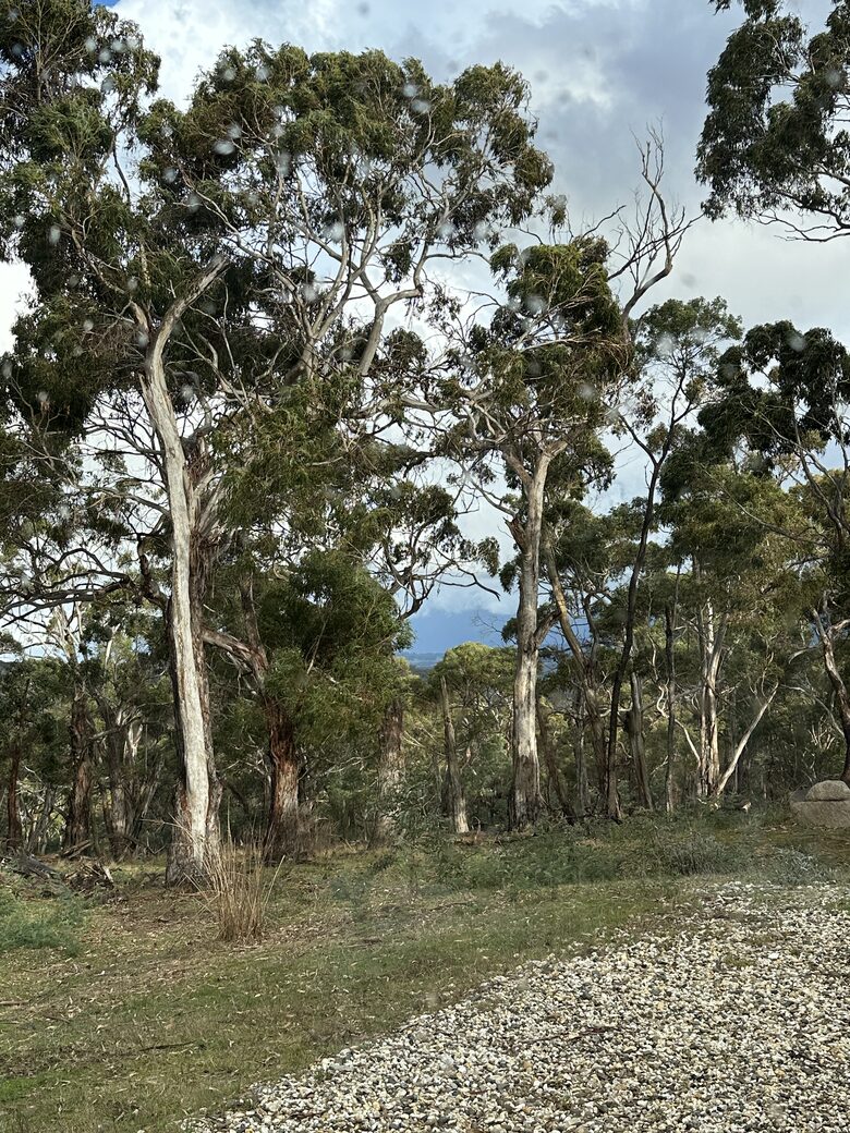 A Refined Country Escape Near Kyneton - Pipers Creek, Australia