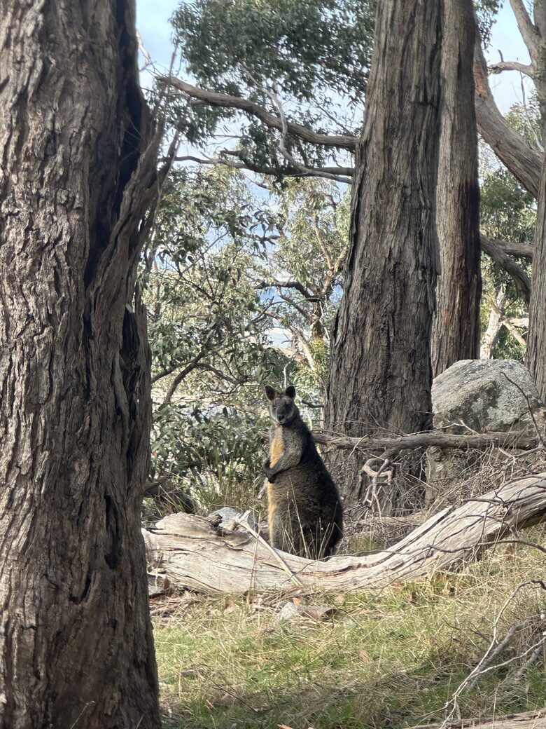 A Refined Country Escape Near Kyneton - Pipers Creek, Australia