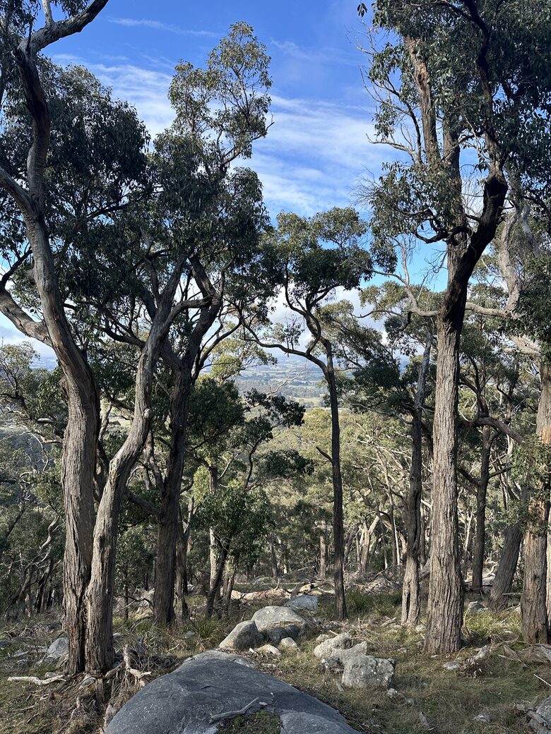A Refined Country Escape Near Kyneton - Pipers Creek, Australia