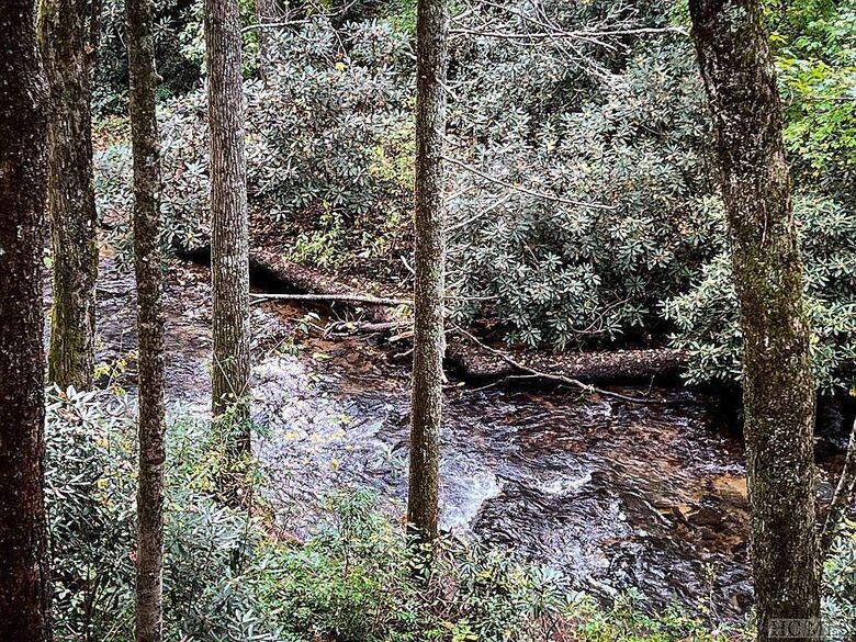 Babbling Brook - Lake Toxaway, North Carolina
