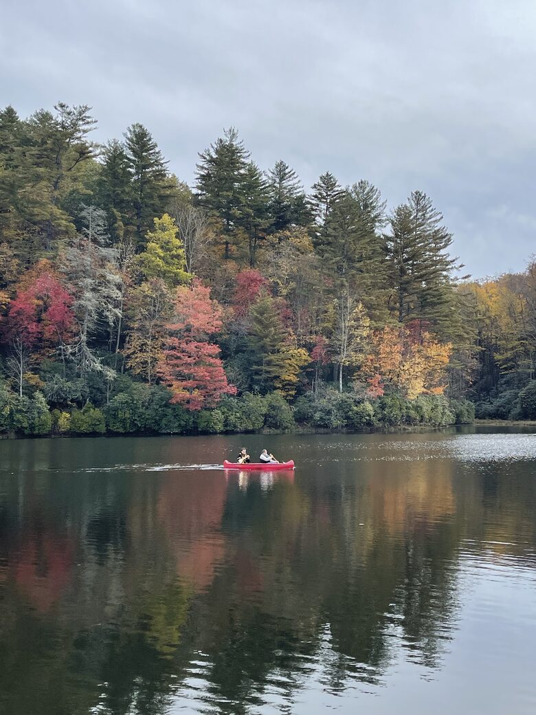 Babbling Brook - Lake Toxaway, North Carolina