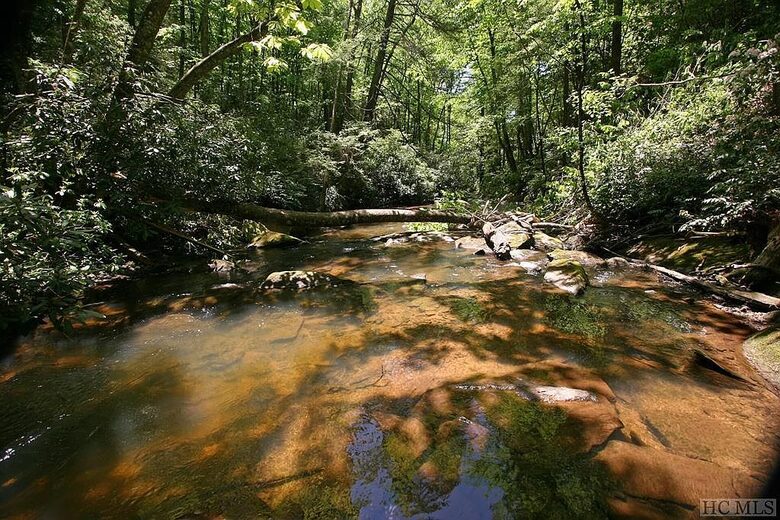 Babbling Brook - Lake Toxaway, North Carolina