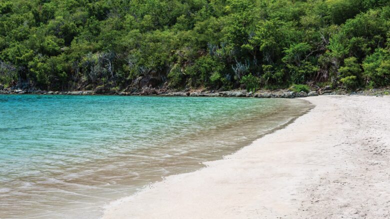 The Westin St. John Resort Villas | One Bedroom Townhouse - Great Cruz Bay, Virgin Islands, U.S.