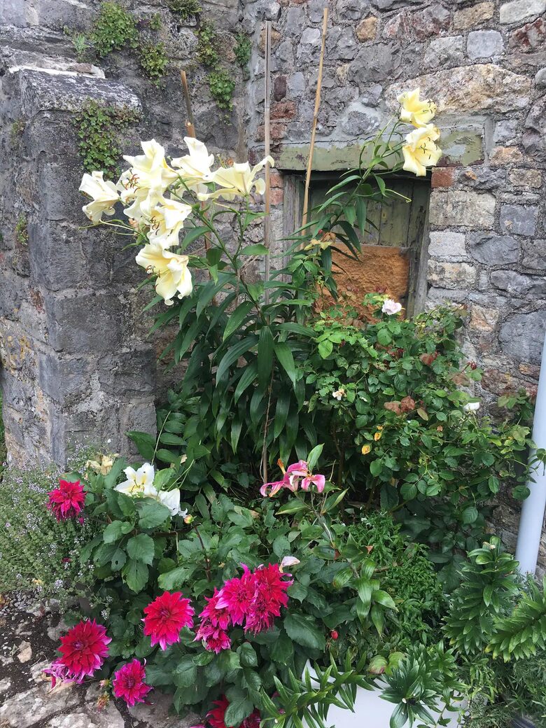 Quirky cottages on a 16th Century estate - Churchill, United Kingdom