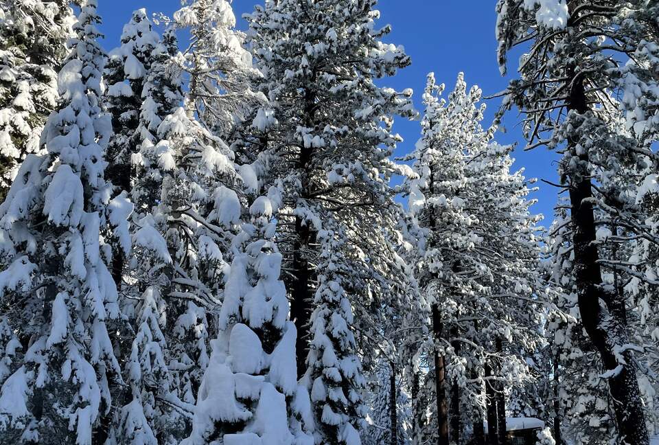 Pineland Getaway - Tahoe City, California