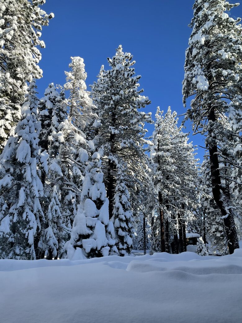 Pineland Getaway - Tahoe City, California
