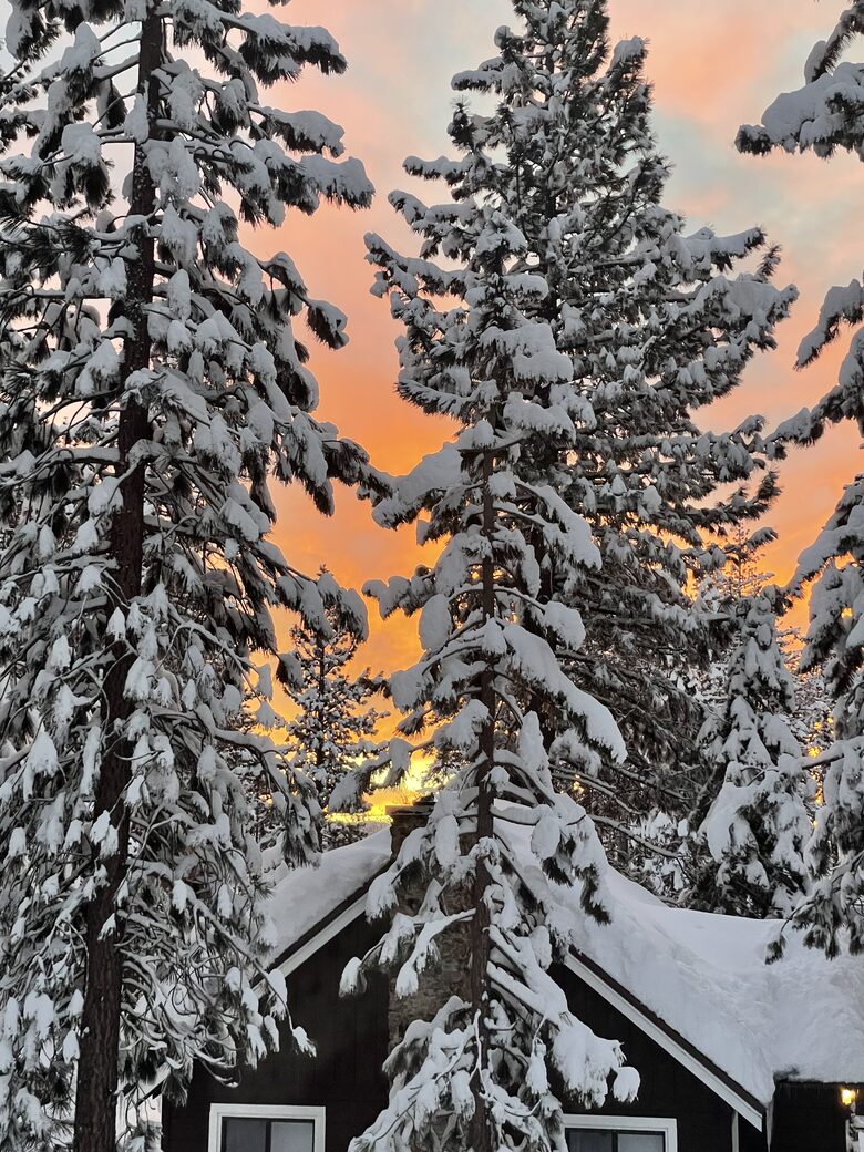 Pineland Getaway - Tahoe City, California