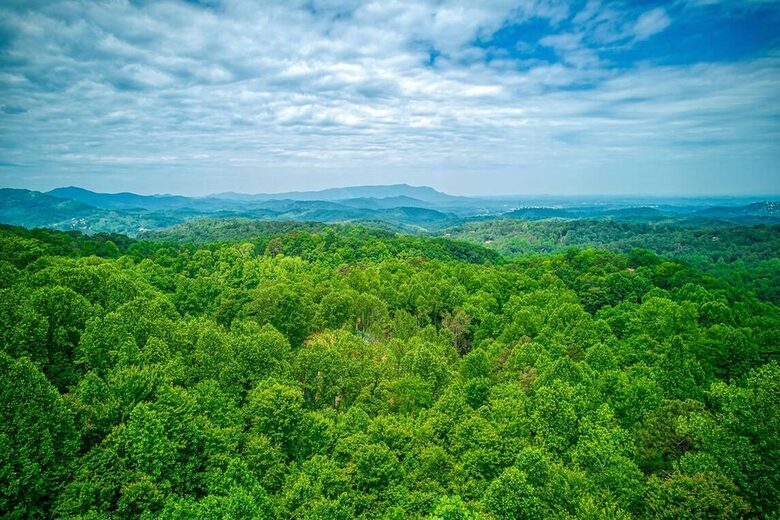 Mystic Moonlight - Sevierville, Tennessee