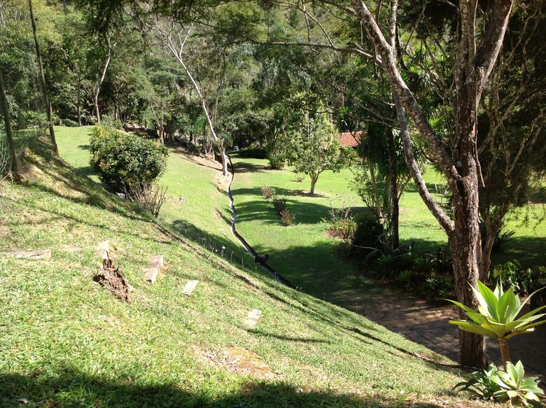 Hidden Haven: A Sanctuary in Rio’s Atlantic Forest - Petrópolis, Brazil