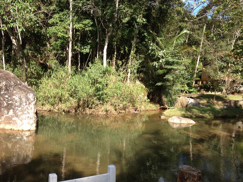 Hidden Haven: A Sanctuary in Rio’s Atlantic Forest - Petrópolis, Brazil
