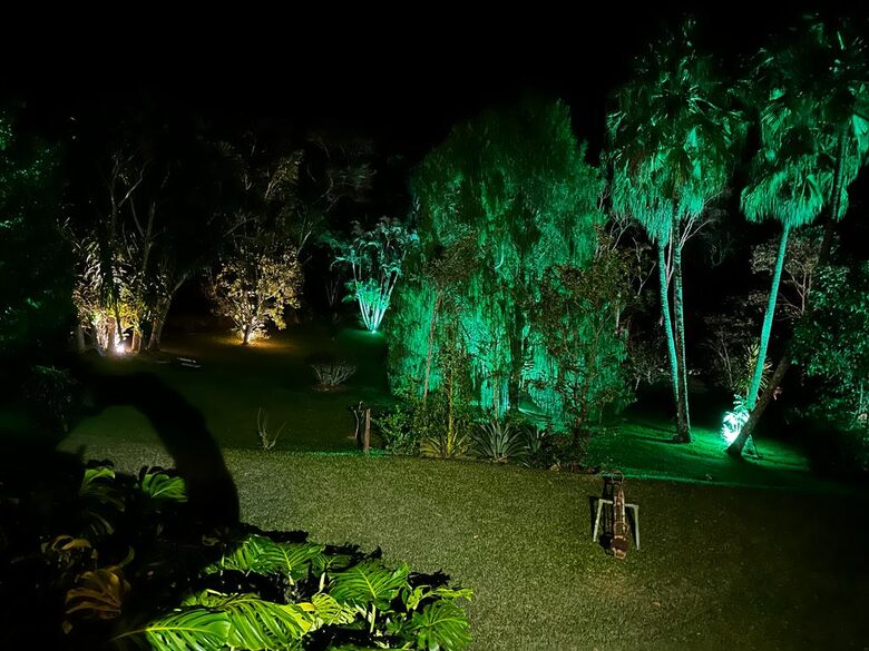 Hidden Haven: A Sanctuary in Rio’s Atlantic Forest - Petrópolis, Brazil