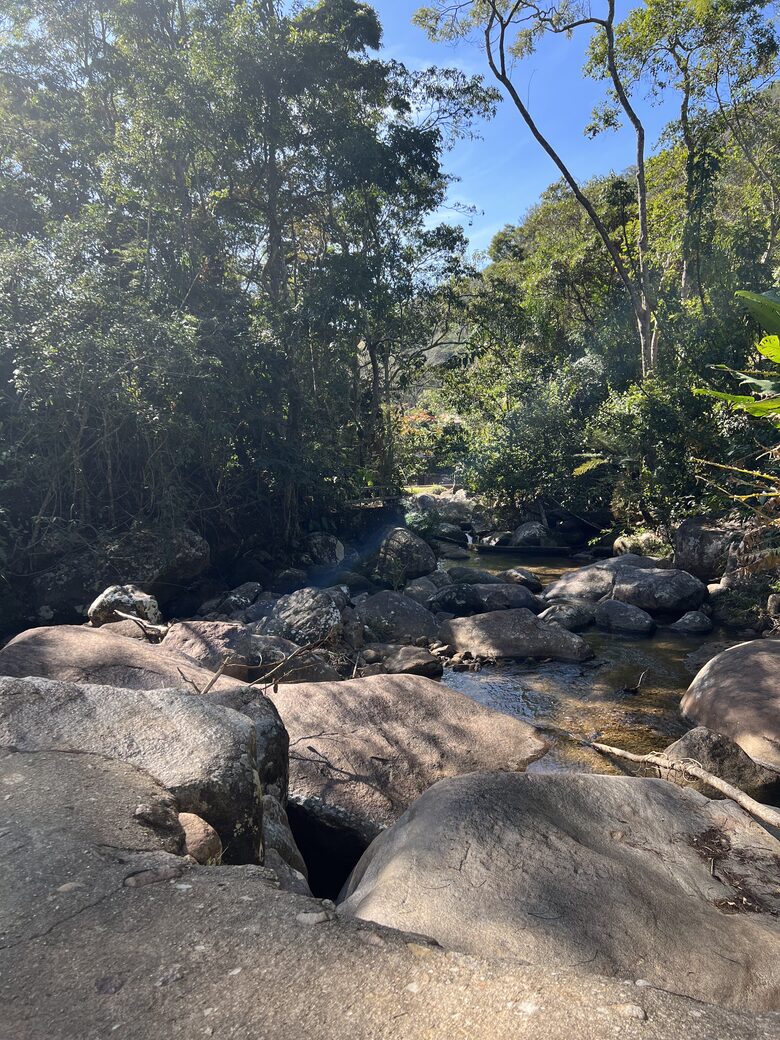 Hidden Haven: A Sanctuary in Rio’s Atlantic Forest - Petrópolis, Brazil