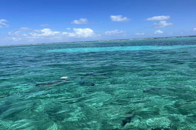 Seaview Retreat - San pedro, Belize