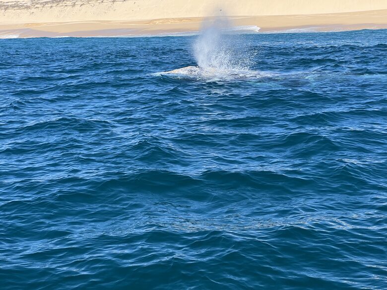 Chic Cabo Getaway | Panoramic Ocean View, Hot Tub, Top Surf Breaks - San José del Cabo, Mexico