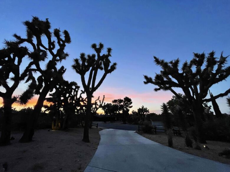 The Blue Muse - Yucca Valley, California