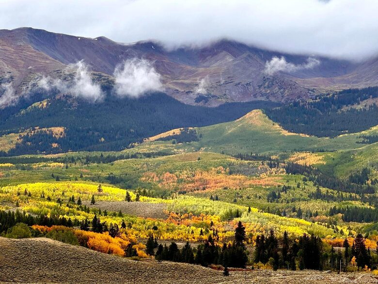 Leadville in the fall with the leaves all golden