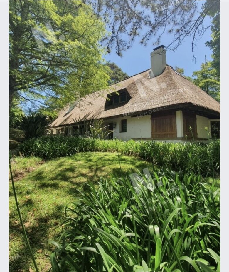 Maria del Mar | Spacious Oasis in Punta del Este - Punta del este, Uruguay