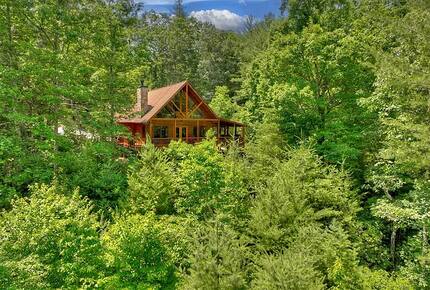 Cabin on the top of Woody Mountain - Blue Ridge, Georgia