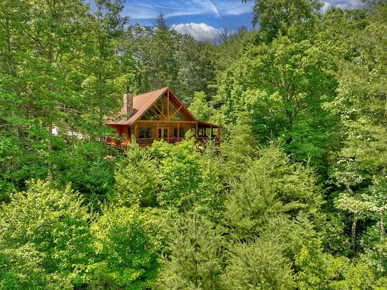 Cabin on the top of Woody Mountain - Blue Ridge, Georgia