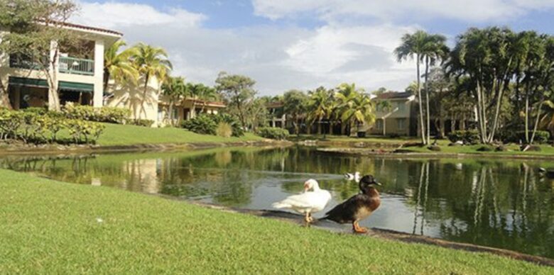 Villa Alma - Vega Alta, Puerto Rico