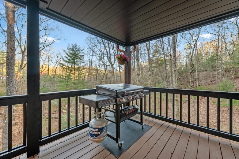 Cozy Cabin on 2 Acres nestled in Blue Ridge Mountains - Blue Ridge, Georgia