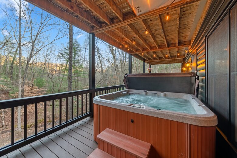 Cozy Cabin on 2 Acres nestled in Blue Ridge Mountains - Blue Ridge, Georgia