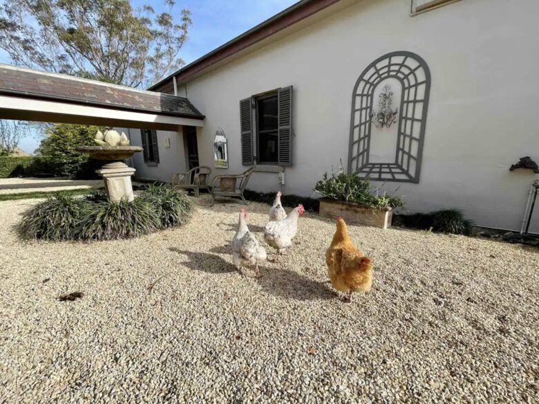 The Cottage | Berry House - Berry Park, Australia