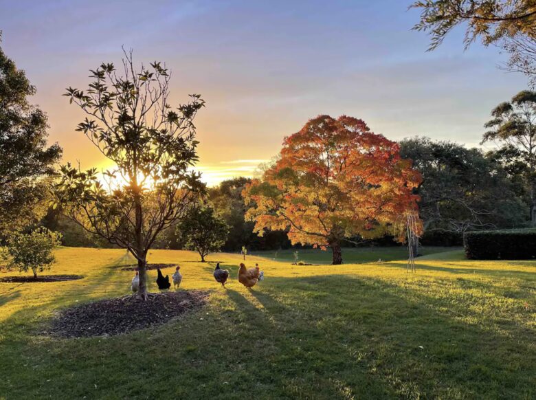 The Cottage | Berry House - Berry Park, Australia