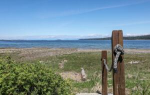 Pearl Point Beach House - Union Bay, Canada